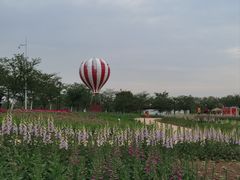 -金卉庄园