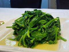 清炒豆尖-正兴蜀园(科技园区店)