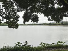 -海珠湖公园
