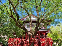 -华清宫景区