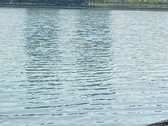 -天鹅湖体育公园