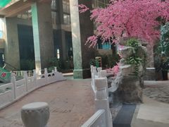 -九华山酒店温泉