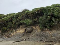 -摩拉基大圆石