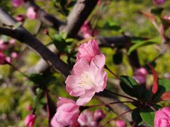 -苏州河梦清园环保主题公园