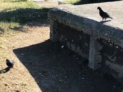-威尼斯广场