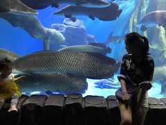 -多彩贵州城极地海洋世界