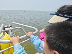 -碧海金沙