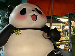 -轩客会(熊猫书店)