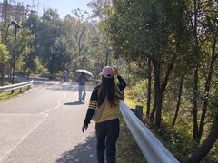 -青龙山国家森林公园