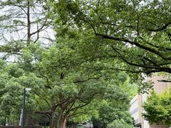 -浙江大学(玉泉校区)