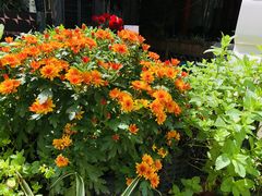 包房-艾加柒克蛋糕茶歇甜品台(春熙路店)