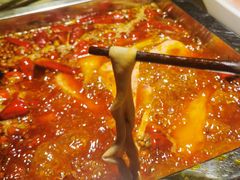 -二荆条·蜀鲜汇城市森林火锅