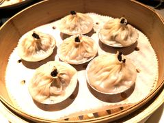 -T館·花园艺术餐厅