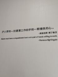 -智美品质医美