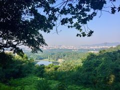 -火炉山森林公园