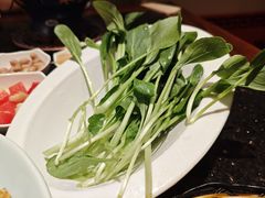 -南门涮肉(东单店)