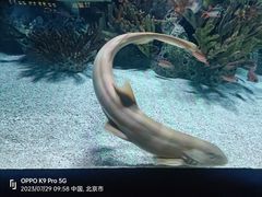 -北京海洋馆