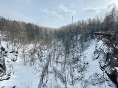 -峡谷浮石林景区