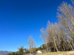 -野鸭湖国家湿地公园