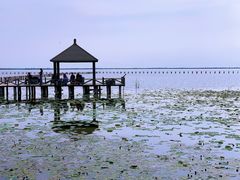 -敕勒川草原文化旅游区