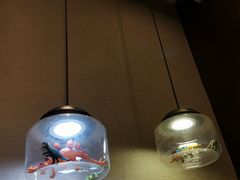 -常州环球恐龙城维景国际大酒店