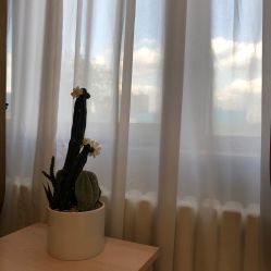 -MOVAN HAIR莫凡匠人发型屋