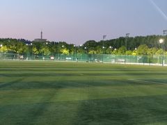 -华东政法大学(松江校区)