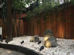 -星巴克(成都锦里店)