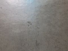 -东莞市光明中学