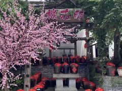 -杭州宋城