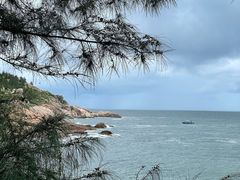 -广东惠东海龟国家级自然保护区