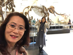 -美国自然历史博物馆