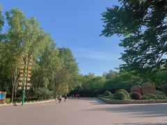 -森林公园(尖草坪区)