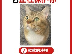 -瑞派福兴宠物医院犬猫全科·骨科·中西医结合(河东店)