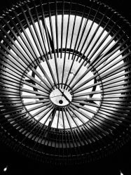 -圣露庄园·草坪婚礼·宴会厅·会议