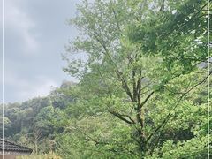 -溪口-滕头旅游景区