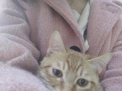 -芭比堂动物医院·犬猫全科·异宠专科(雁塔分院)