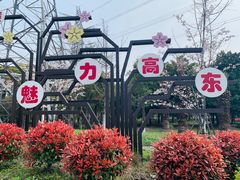 -高东镇樱花园