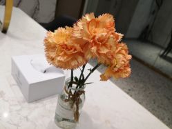 -Kraemer paris·苏豪路易士·嘉玛发廊