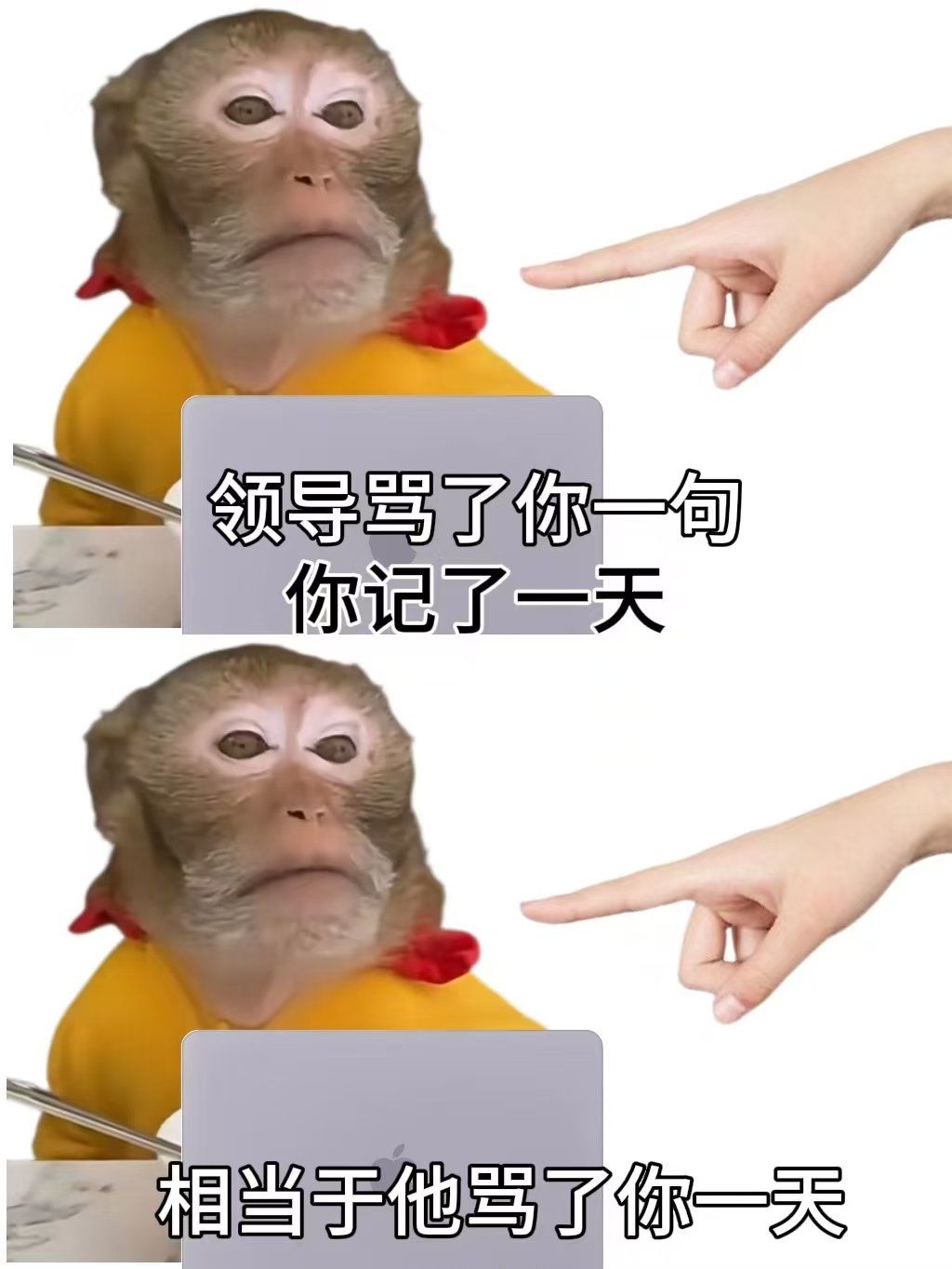 爆笑时刻表情速递