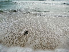 -西涌国际滨海旅游区