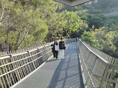 -福道