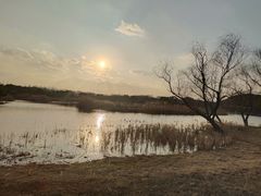 -同里国家湿地公园
