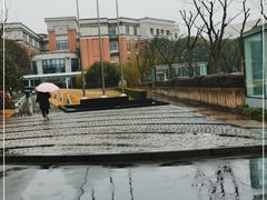 -复旦大学附属华山医院(浦东院区)