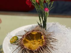 -日月昇渔家菜·海肠捞饭·大连海鲜(星海公园店)
