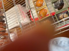 -蓝湾碧波·老字号·疍家非遗海上餐厅