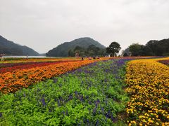 -广州市石门国家森林公园
