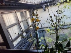 -31号公馆(黄兴广场白果园店)