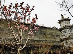 -长春观