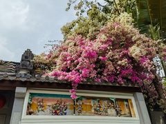 -深圳国际园林花卉博览园